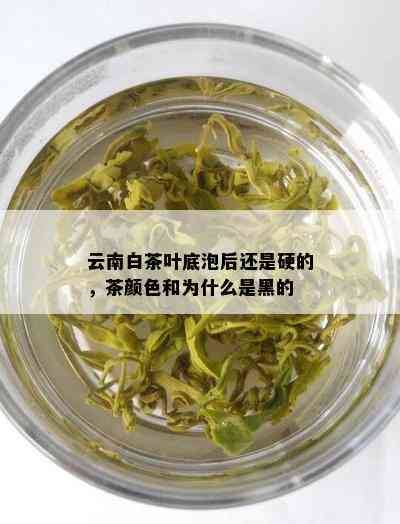 云南白茶叶底泡后还是硬的，茶颜色和为什么是黑的