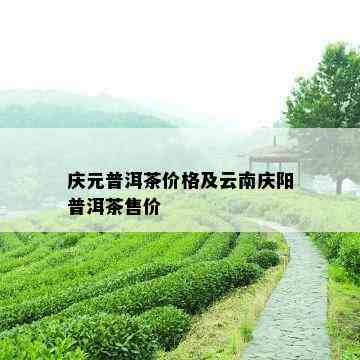 庆元普洱茶价格及云南庆阳普洱茶售价