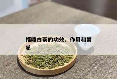 福鼎白茶的功效、作用和禁忌