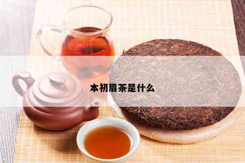 本初眉茶是什么