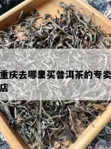 重庆去哪里买普洱茶的专卖店