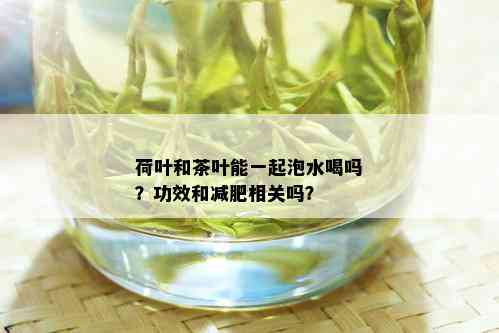 荷叶和茶叶能一起泡水喝吗？功效和减肥相关吗？