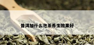 普洱加什么泡茶养生效果好