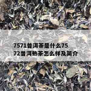 7571普洱茶是什么7572普洱熟茶怎么样及简介