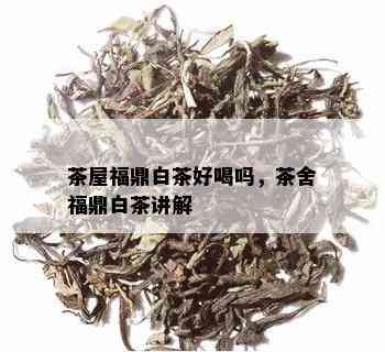 茶屋福鼎白茶好喝吗，茶舍福鼎白茶讲解