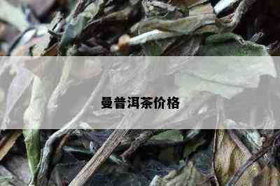 曼普洱茶价格