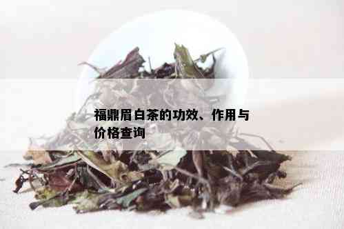 福鼎眉白茶的功效、作用与价格查询