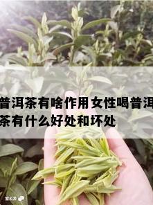 普洱茶有啥作用女性喝普洱茶有什么好处和坏处