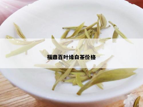 福鼎百叶缘白茶价格