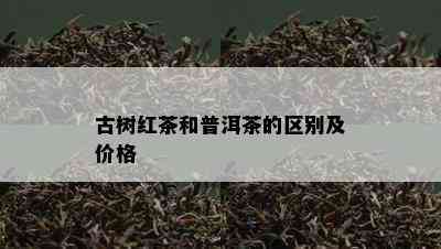 古树红茶和普洱茶的区别及价格