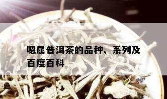 嗯属普洱茶的品种、系列及百度百科