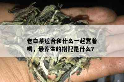 老白茶适合和什么一起煮着喝，最养生的搭配是什么？