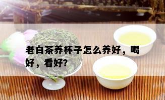 老白茶养杯子怎么养好，喝好，看好？