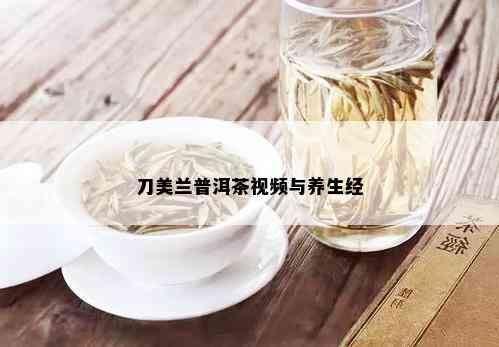 刀美兰普洱茶视频与养生经