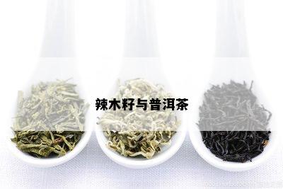 辣木籽与普洱茶