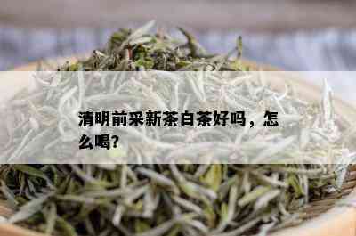 清明前采新茶白茶好吗，怎么喝？