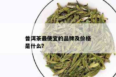 普洱茶更便宜的品牌及价格是什么？