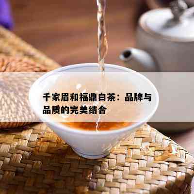 千家眉和福鼎白茶：品牌与品质的完美结合