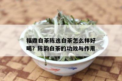 福鼎白茶陈逸白茶怎么样好喝？陈韵白茶的功效与作用