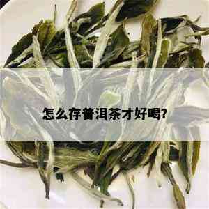 怎么存普洱茶才好喝？