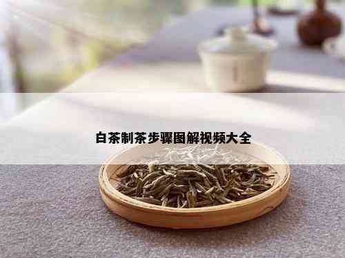 白茶制茶步骤图解视频大全