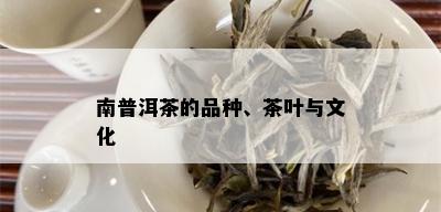 南普洱茶的品种、茶叶与文化