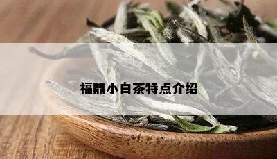 福鼎小白茶特点介绍