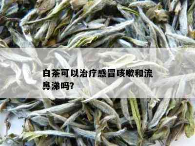 白茶可以治疗感冒咳嗽和流鼻涕吗？