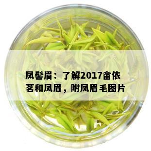 凤髻眉：了解2017畲依茗和凤眉，附凤眉毛图片