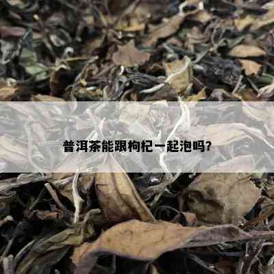 普洱茶能跟枸杞一起泡吗？