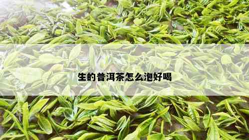 生的普洱茶怎么泡好喝