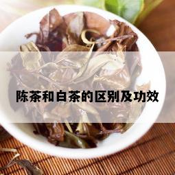 陈茶和白茶的区别及功效