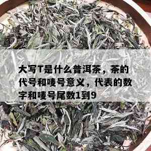 大写T是什么普洱茶，茶的代号和唛号意义，代表的数字和唛号尾数1到9