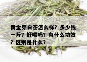 黄金芽白茶怎么样？多少钱一斤？好喝吗？有什么功效？区别是什么？