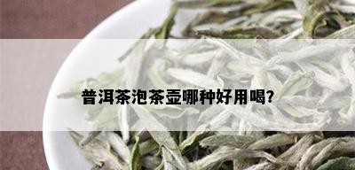 普洱茶泡茶壶哪种好用喝？