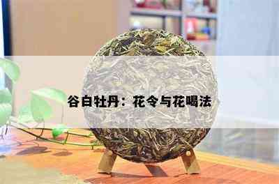 谷白牡丹：花令与花喝法