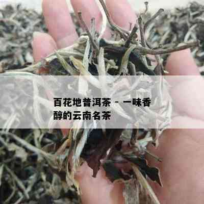 百花地普洱茶 - 一味香醇的云南名茶