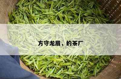 方守龙眉，的茶厂