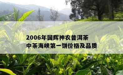 2006年国辉神农普洱茶中茶海峡之一饼价格及品质