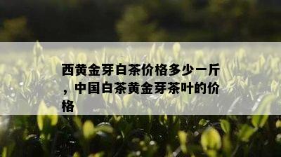 西黄金芽白茶价格多少一斤，中国白茶黄金芽茶叶的价格