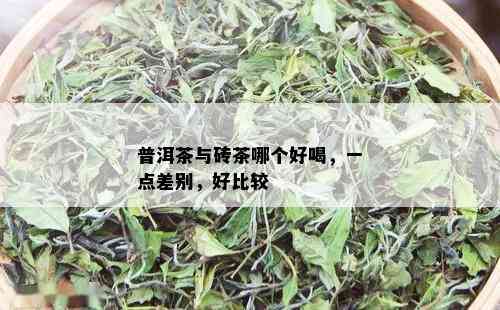 普洱茶与砖茶哪个好喝，一点差别，好比较