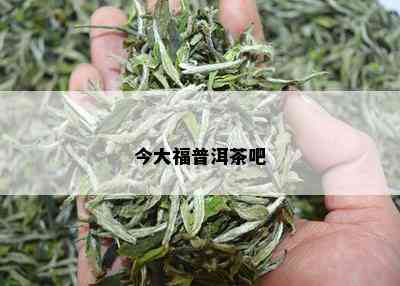 今大福普洱茶吧