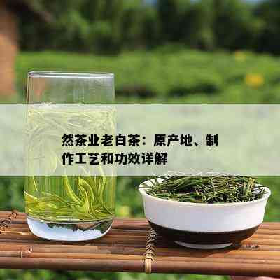 然茶业老白茶：原产地、制作工艺和功效详解