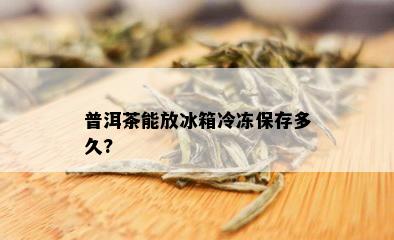 普洱茶能放冰箱冷冻保存多久?