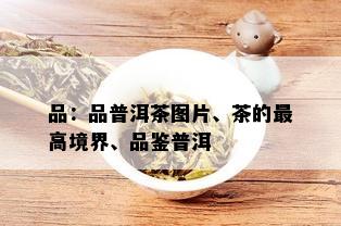 品：品普洱茶图片、茶的更高境界、品鉴普洱