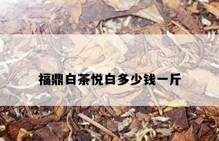 福鼎白茶悦白多少钱一斤