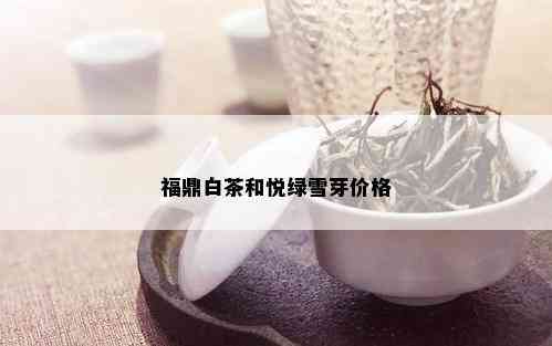 福鼎白茶和悦绿雪芽价格