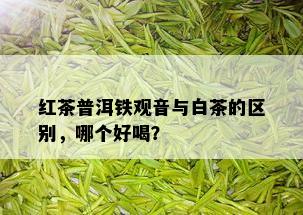 红茶普洱铁观音与白茶的区别，哪个好喝？