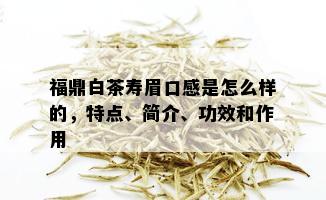 福鼎白茶寿眉口感是怎么样的，特点、简介、功效和作用