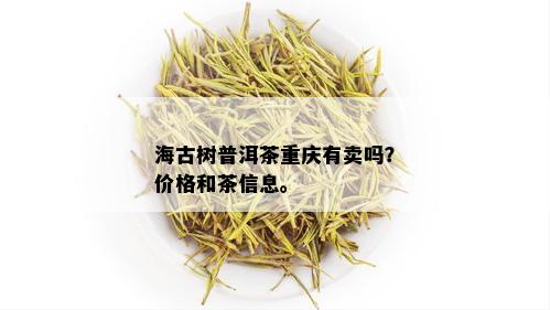 海古树普洱茶重庆有卖吗？价格和茶信息。